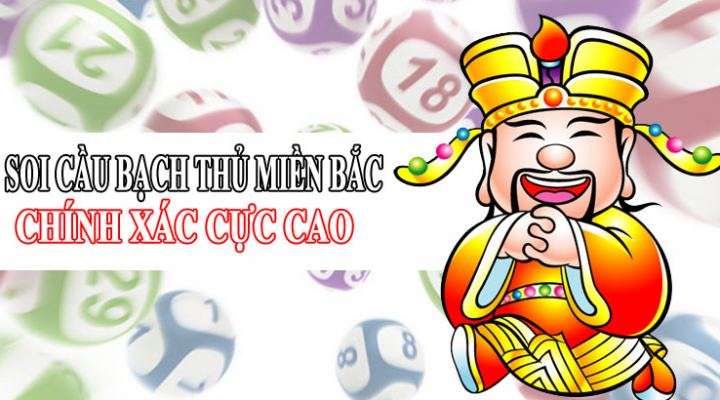 soi cau bach thu