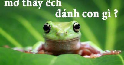 Nằm mơ thấy ếch đánh số mấy? Ý nghĩa giấc mơ thấy ếch?