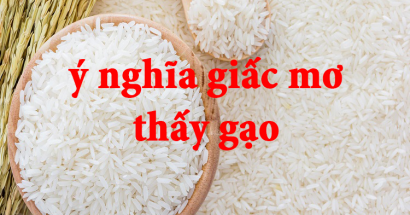 Ý nghĩa thú vị đằng sau giấc mơ thấy gạo? Mơ thấy gạo đánh con gì cập bến thành công?