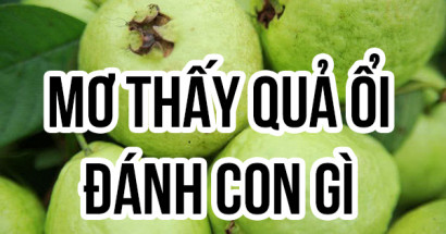 Mơ thấy quả ổi đánh con gì? Giải mã ý nghĩa giấc mơ thấy quả ổi
