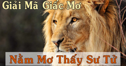 Mơ thấy sư tử hung hay cát? Nên đánh con số nào may mắn