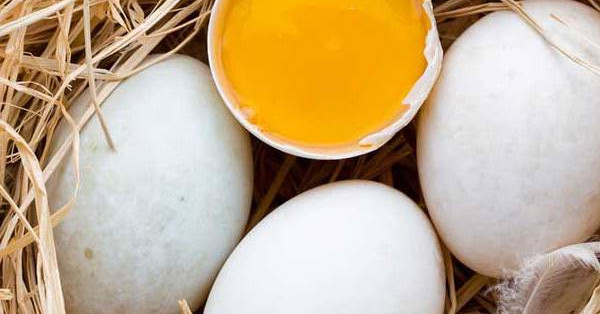 Mơ thấy trứng vịt đánh con gì? Ý nghĩa giấc mơ trứng vịt
