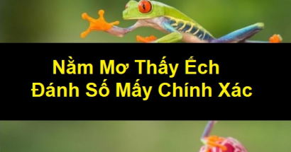 Điềm báo sau giấc mơ thấy ếch? Mơ thấy ếch đánh con gì bách phát bách trúng?