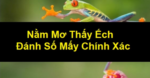 Điềm báo sau giấc mơ thấy ếch? Mơ thấy ếch đánh con gì bách phát bách trúng?