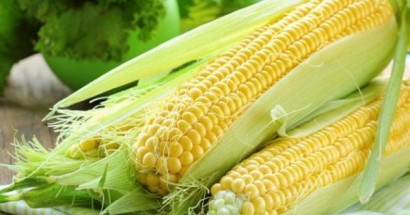 Mơ thấy bắp ngô là điềm báo gì? Đánh con gì chuẩn nhất?