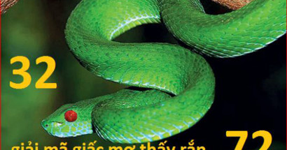 Khám phá giấc mơ thấy rắn đuổi? Đánh con gì lấy hên?